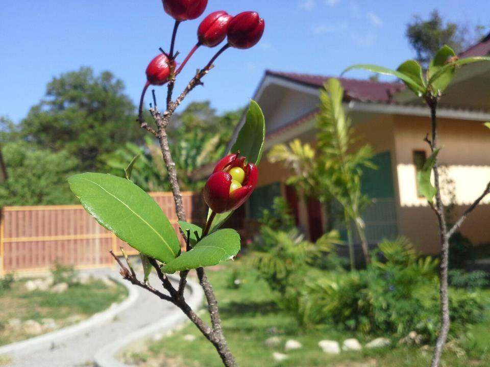 Villa De Mama Rawai Rom bilde